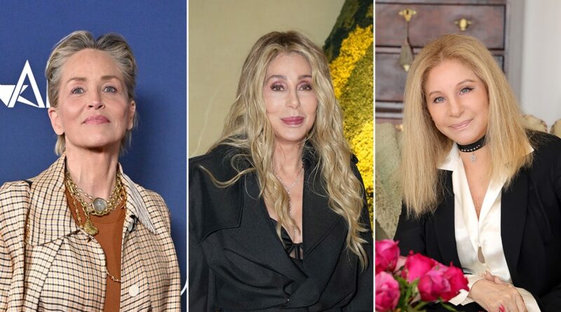 cher sharon stone barbra streisand