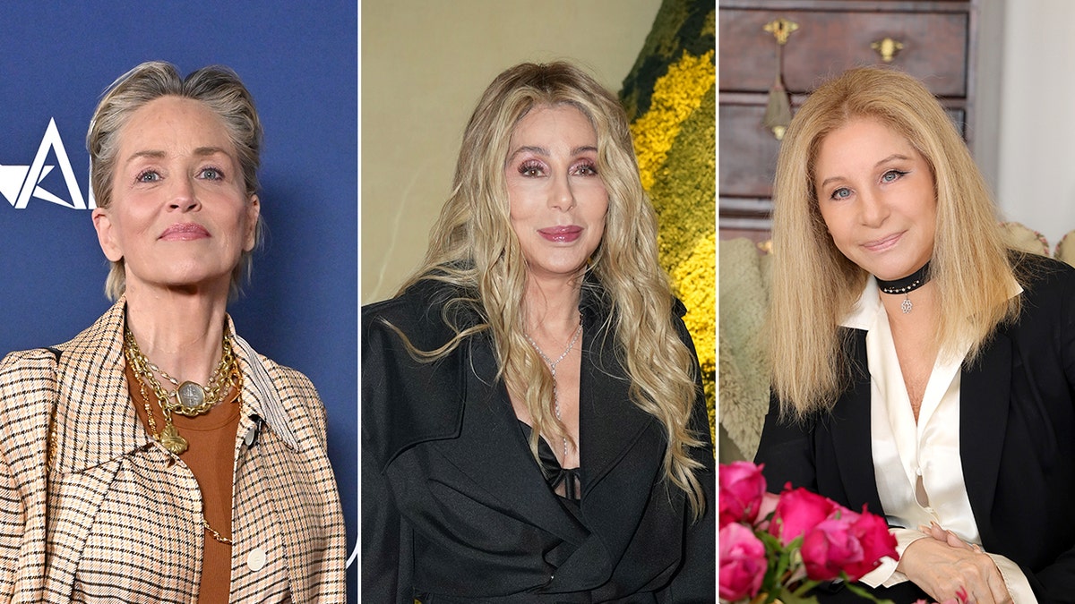 cher sharon stone barbra streisand