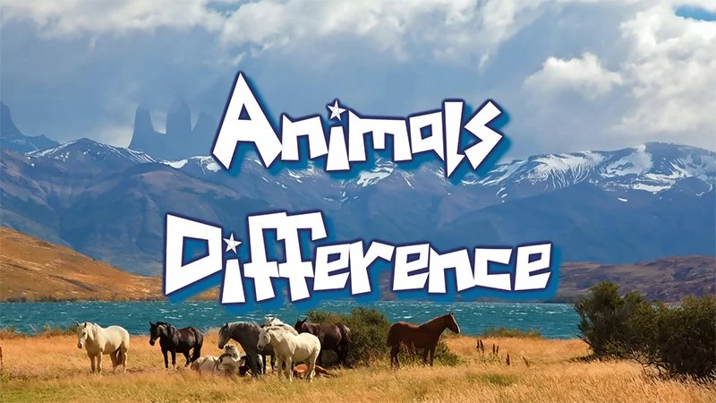 Animal Differences